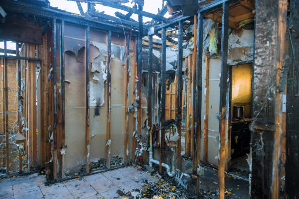 Professional Fire Damage Removal technician working in McLean, VA