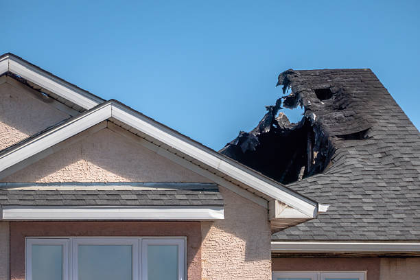Top rated local Fire Damage Removal specialists in McLean, VA
